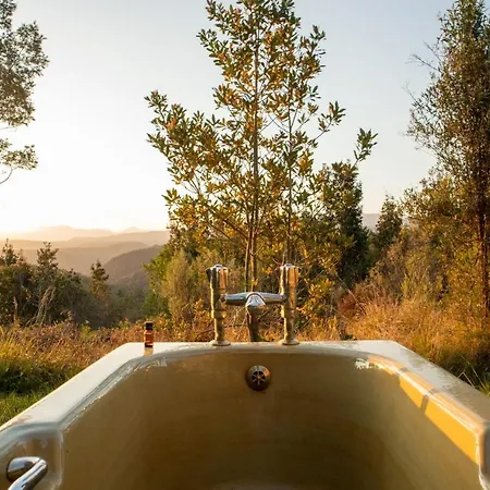 Forest Harmony Knysna Exterior photo