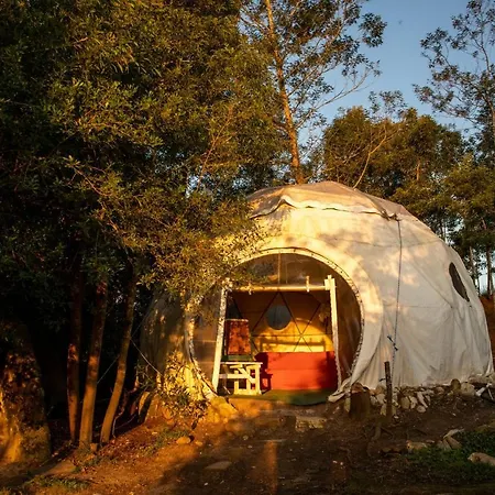 Forest Harmony Knysna Exterior photo