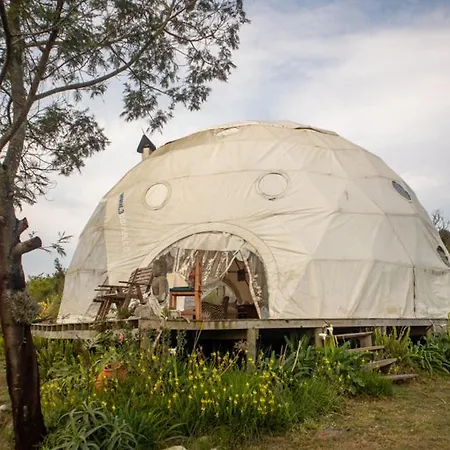 Forest Harmony Knysna Exterior photo