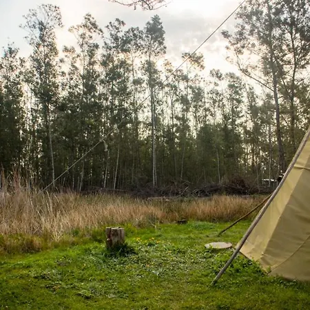 Forest Harmony Knysna Exterior photo