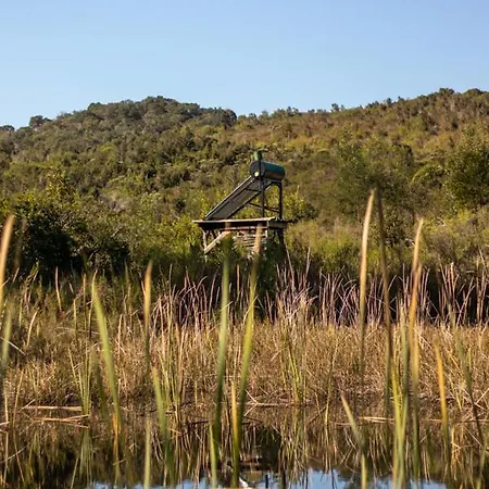 Forest Harmony Knysna Exterior photo