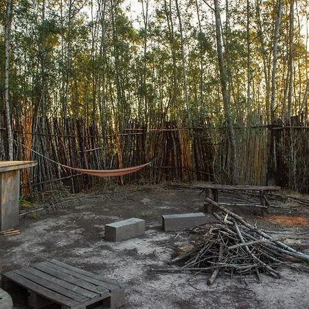 Forest Harmony Knysna Exterior photo