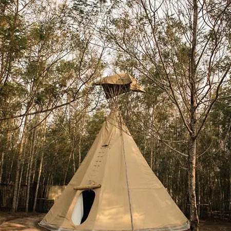 Forest Harmony Knysna Exterior photo