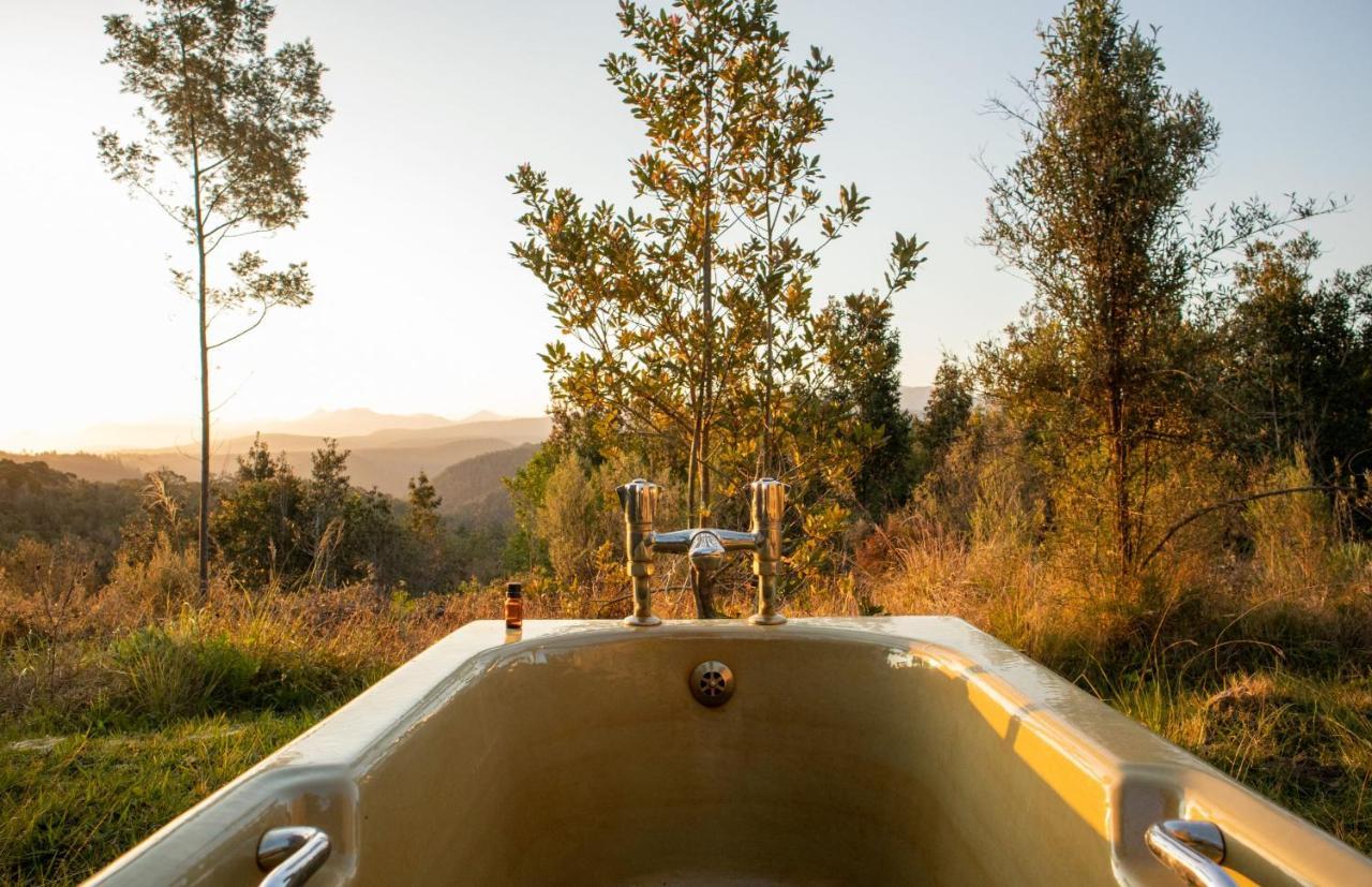 Forest Harmony Farm stay