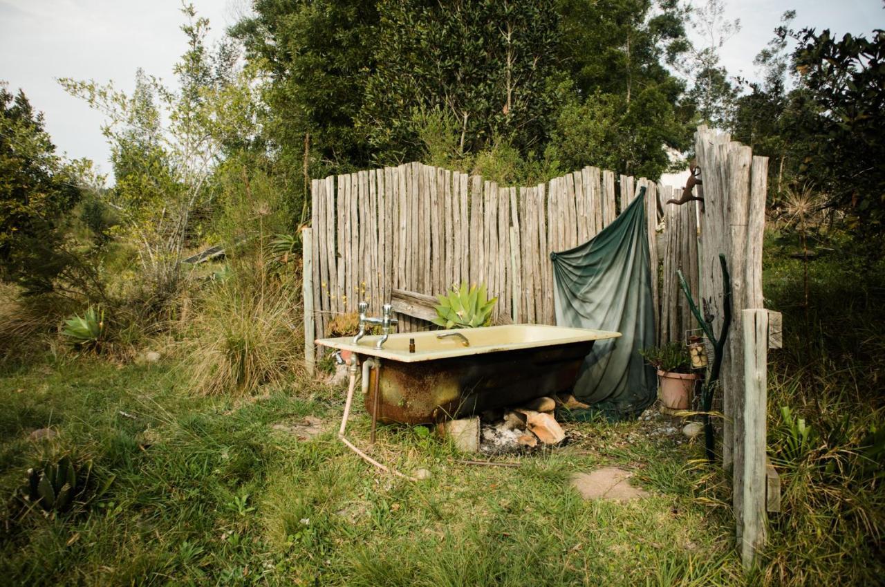 Forest Harmony Farm stay *