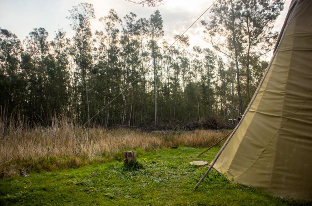 Farm stay Forest Harmony