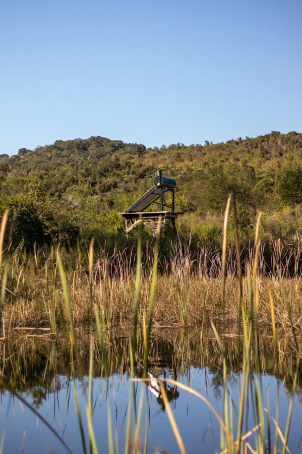 Farm stay Forest Harmony Knysna