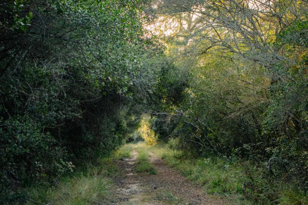 Farm stay Forest Harmony